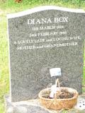 image of grave number 419861